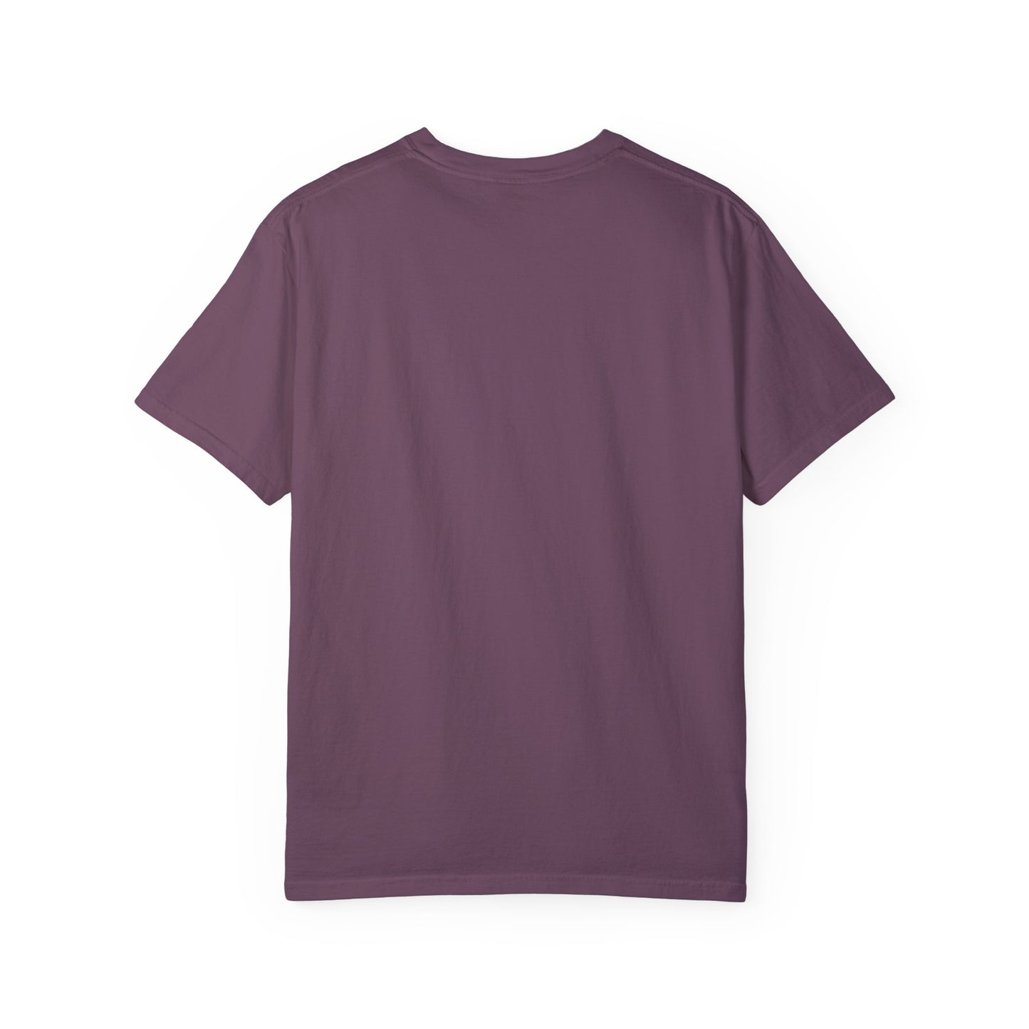 SWIFTIE Rep Inspired Unisex Garment-Dyed T-shirt